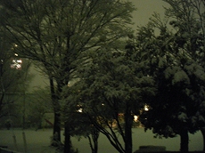 昨日の大雪 昨日の大雪