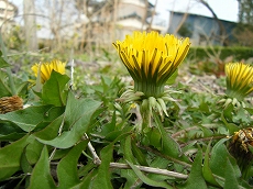 お近くの方は是非！