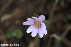 最後は華麗に！
