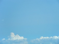 今日のお天気は？